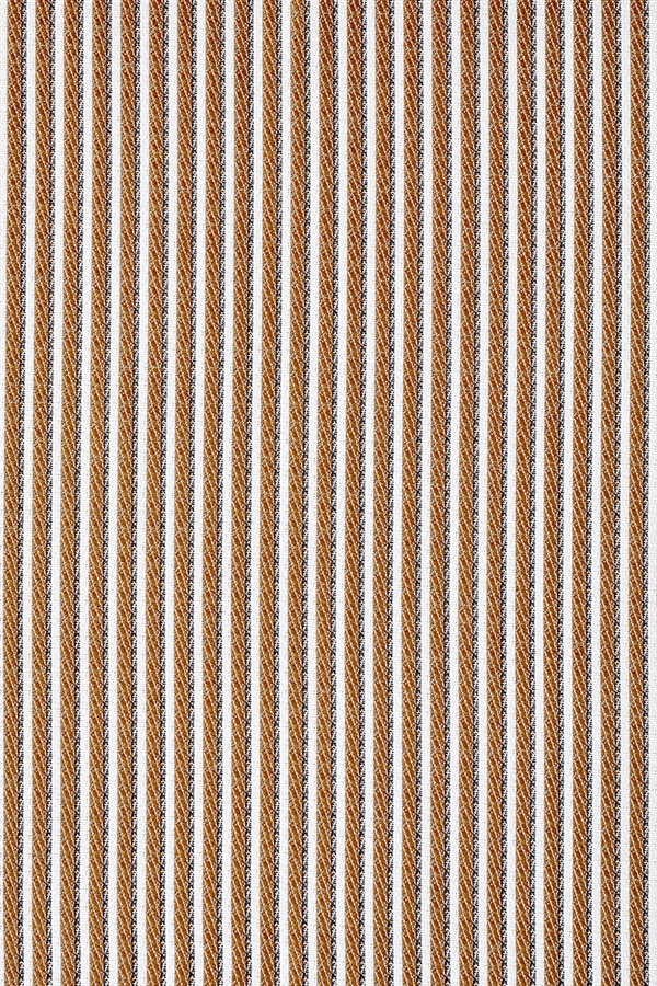 PIN STRIPE BONE
